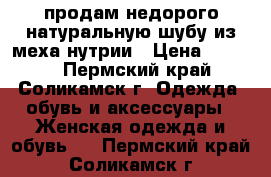 продам недорого натуральную шубу из меха нутрии › Цена ­ 3 000 - Пермский край, Соликамск г. Одежда, обувь и аксессуары » Женская одежда и обувь   . Пермский край,Соликамск г.